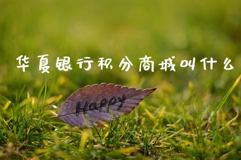 华夏银行积分商城叫什么_https://m.fansifence.com_消费金融_第1张