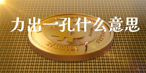 力出一孔什么意思_https://m.fansifence.com_消费金融_第1张