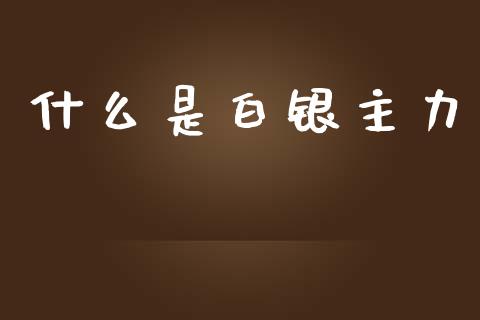 什么是白银主力_https://m.fansifence.com_个股行情_第1张