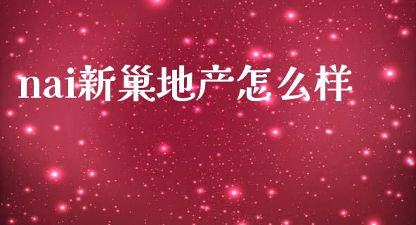 nai新巢地产怎么样_https://m.fansifence.com_消费金融_第1张