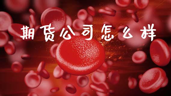 期货公司怎么样_https://m.fansifence.com_消费金融_第1张
