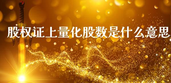 股权证上量化股数是什么意思_https://m.fansifence.com_消费金融_第1张