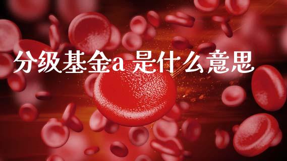 分级基金a 是什么意思_https://m.fansifence.com_个股行情_第1张