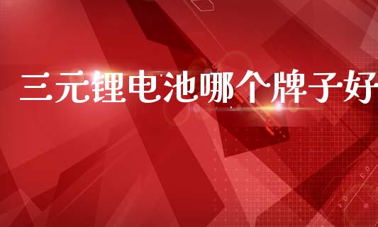 三元锂电池哪个牌子好_https://m.fansifence.com_个股行情_第1张