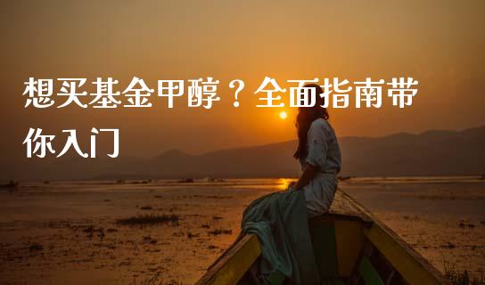 想买基金甲醇？全面指南带你入门_https://m.fansifence.com_消费金融_第1张