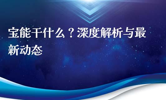宝能干什么？深度解析与最新动态_https://m.fansifence.com_消费金融_第1张