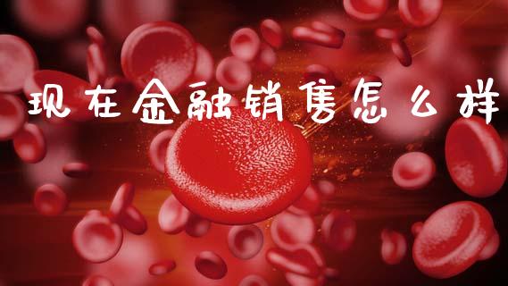 现在金融销售怎么样_https://m.fansifence.com_贵金属行情_第1张