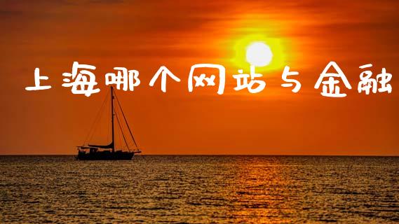 上海哪个网站与金融_https://m.fansifence.com_公募基金_第1张
