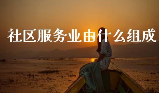 社区服务业由什么组成_https://m.fansifence.com_消费金融_第1张