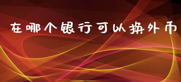 在哪个银行可以换外币_https://m.fansifence.com_公募基金_第1张