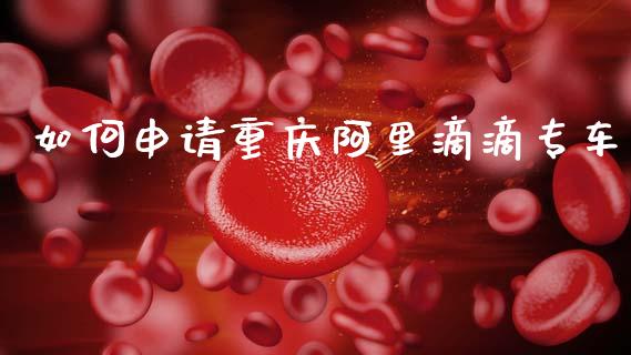 如何申请重庆阿里滴滴专车_https://m.fansifence.com_消费金融_第1张