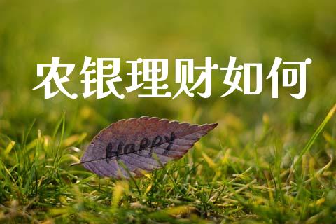 农银理财如何_https://m.fansifence.com_消费金融_第1张