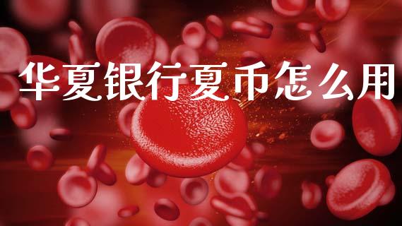 华夏银行夏币怎么用_https://m.fansifence.com_公募基金_第1张