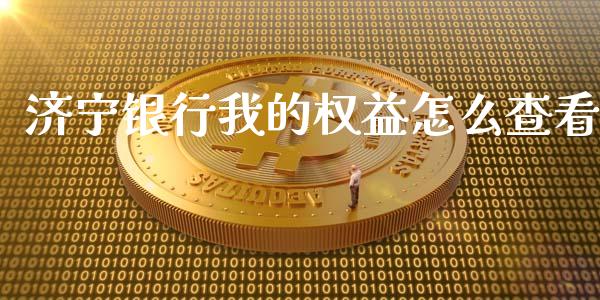 济宁银行我的权益怎么查看_https://m.fansifence.com_个股行情_第1张