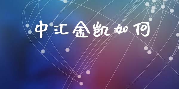 中汇金凯如何_https://m.fansifence.com_消费金融_第1张