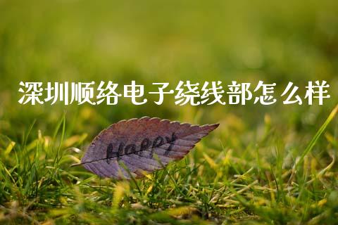 深圳顺络电子绕线部怎么样_https://m.fansifence.com_贵金属行情_第1张