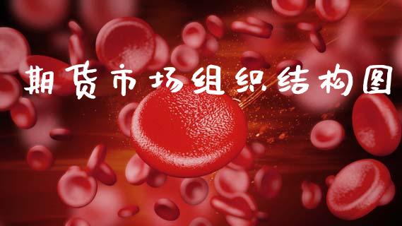 期货市场组织结构图_https://m.fansifence.com_个股行情_第1张