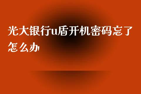 光大银行u盾开机密码忘了怎么办_https://m.fansifence.com_消费金融_第1张