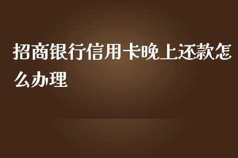 招商银行信用卡晚上还款怎么办理_https://m.fansifence.com_消费金融_第1张