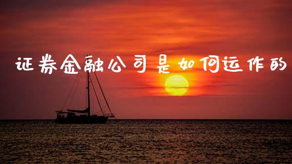 证券金融公司是如何运作的_https://m.fansifence.com_公募基金_第1张