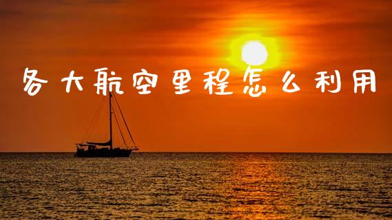 各大航空里程怎么利用_https://m.fansifence.com_个股行情_第1张
