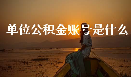 单位公积金账号是什么_https://m.fansifence.com_个股行情_第1张