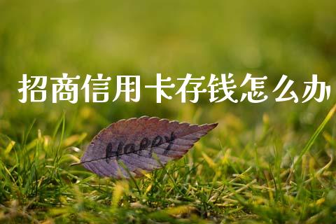 招商信用卡存钱怎么办_https://m.fansifence.com_消费金融_第1张