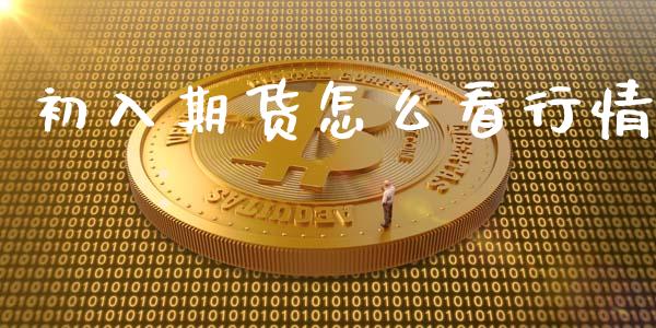 初入期货怎么看行情_https://m.fansifence.com_公募基金_第1张