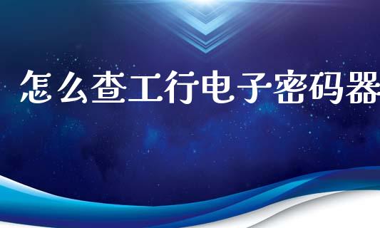 怎么查工行电子密码器_https://m.fansifence.com_消费金融_第1张