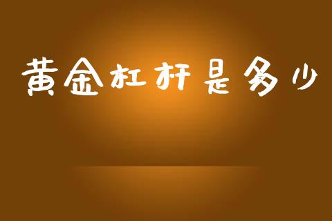 黄金杠杆是多少_https://m.fansifence.com_消费金融_第1张