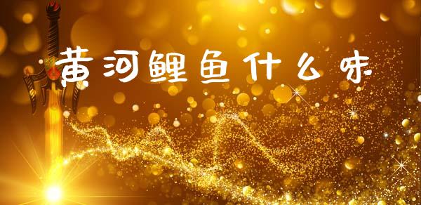 黄河鲤鱼什么味_https://m.fansifence.com_个股行情_第1张