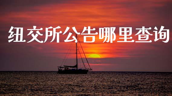 纽交所公告哪里查询_https://m.fansifence.com_公募基金_第1张