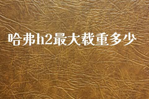 哈弗h2最大载重多少_https://m.fansifence.com_消费金融_第1张