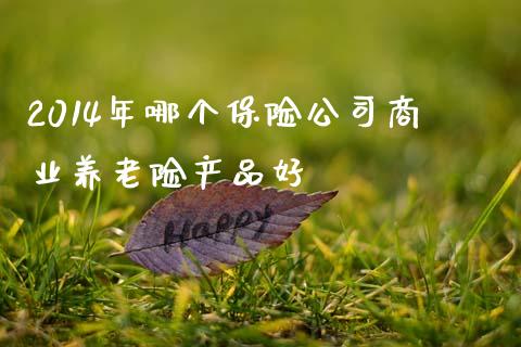 2014年哪个保险公司商业养老险产品好_https://m.fansifence.com_个股行情_第1张