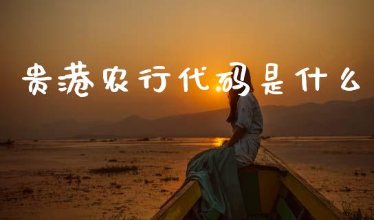 贵港农行代码是什么_https://m.fansifence.com_个股行情_第1张
