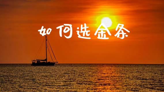 如何选金条_https://m.fansifence.com_消费金融_第1张