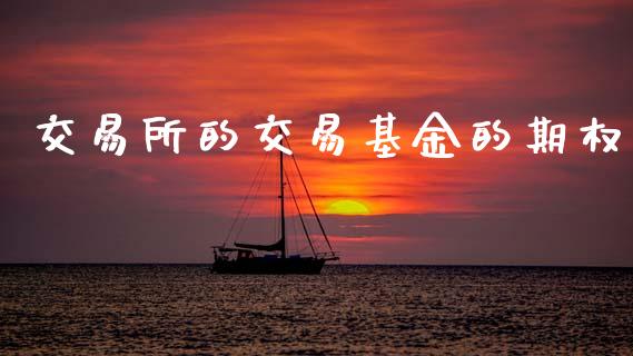 交易所的交易基金的期权_https://m.fansifence.com_消费金融_第1张