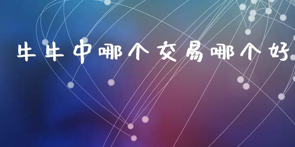 牛牛中哪个交易哪个好_https://m.fansifence.com_消费金融_第1张