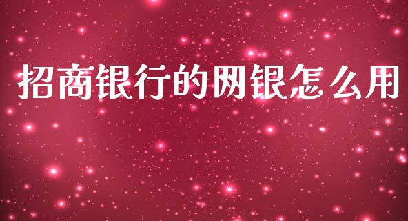 招商银行的网银怎么用_https://m.fansifence.com_消费金融_第1张