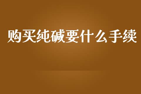 购买纯碱要什么手续_https://m.fansifence.com_贵金属行情_第1张