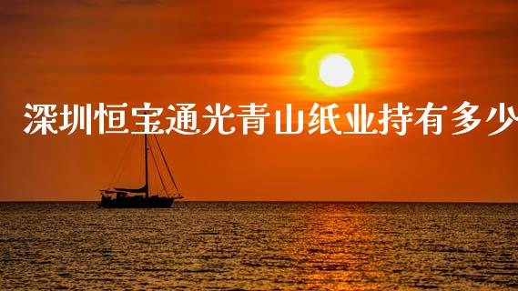 深圳恒宝通光青山纸业持有多少_https://m.fansifence.com_个股行情_第1张