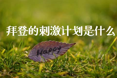 拜登的刺激计划是什么_https://m.fansifence.com_个股行情_第1张