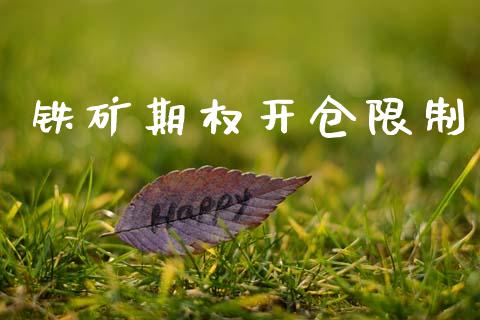 铁矿期权开仓限制_https://m.fansifence.com_个股行情_第1张