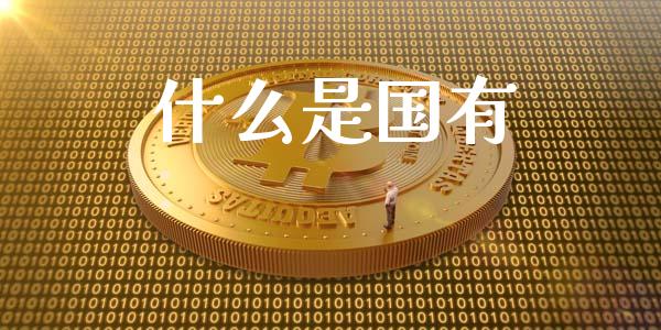 什么是国有_https://m.fansifence.com_消费金融_第1张
