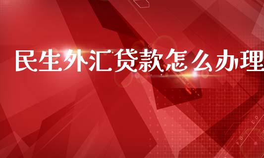 民生外汇贷款怎么办理_https://m.fansifence.com_贵金属行情_第1张