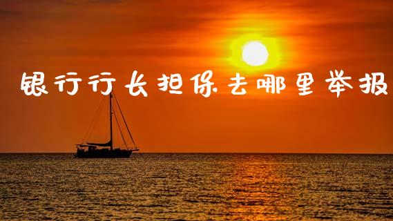 银行行长担保去哪里举报_https://m.fansifence.com_个股行情_第1张