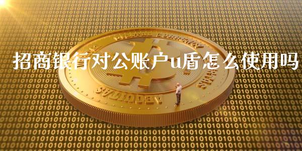 招商银行对公账户u盾怎么使用吗_https://m.fansifence.com_个股行情_第1张