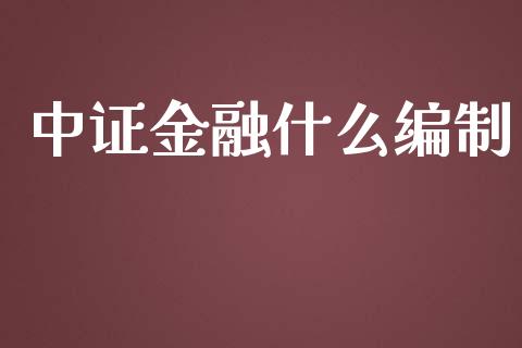 中证金融什么编制_https://m.fansifence.com_个股行情_第1张