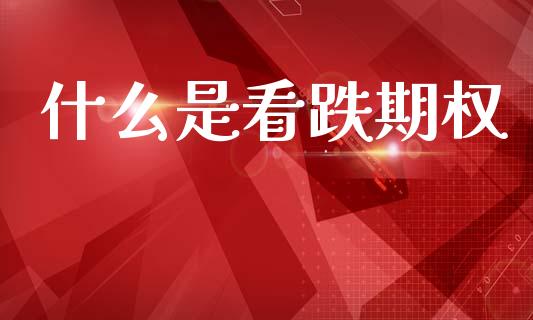 什么是看跌期权_https://m.fansifence.com_个股行情_第1张