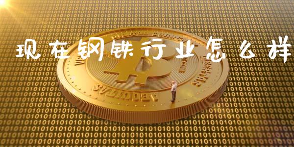 现在钢铁行业怎么样_https://m.fansifence.com_消费金融_第1张